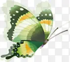 绿色卡通手绘插画蝴蝶