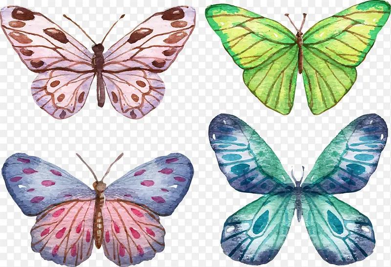 矢量手绘蝴蝶