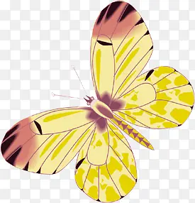 黄色卡通唯美手绘蝴蝶