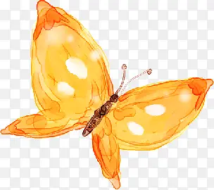 黄色手绘蝴蝶设计