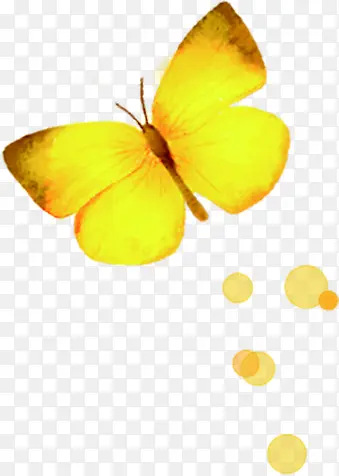 手绘黄色秋季蝴蝶