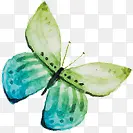 绿色手绘唯美蝴蝶