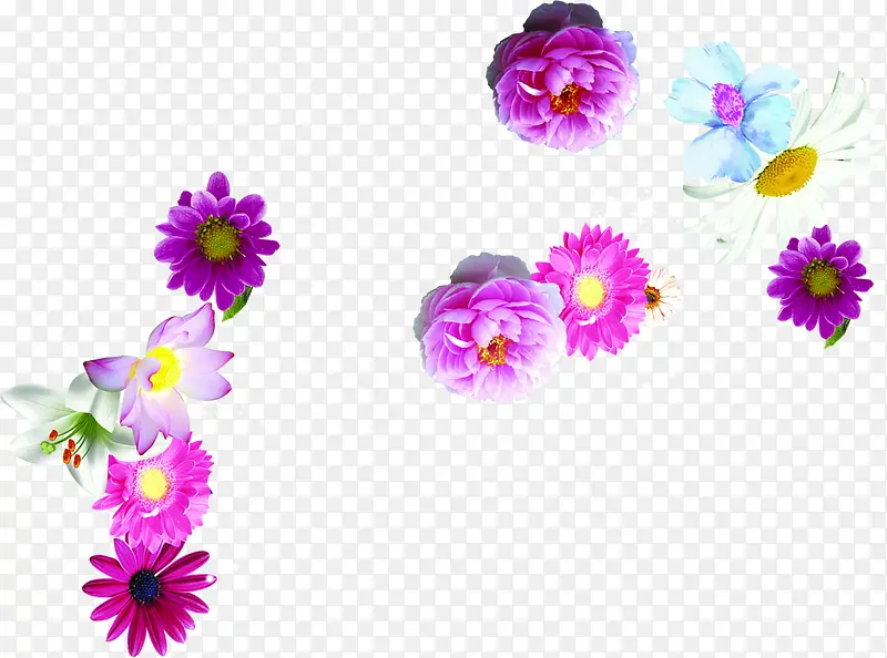 彩色春天促销花朵装饰