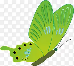 绿色卡通手绘蝴蝶装饰