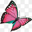 粉色手绘斑点蝴蝶