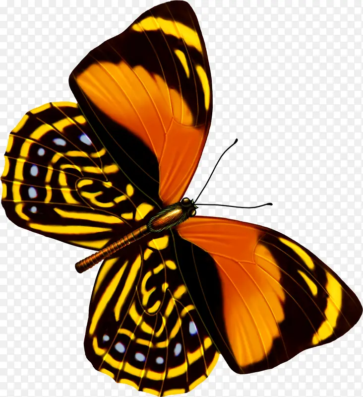 手绘创意飞舞的花蝴蝶效果