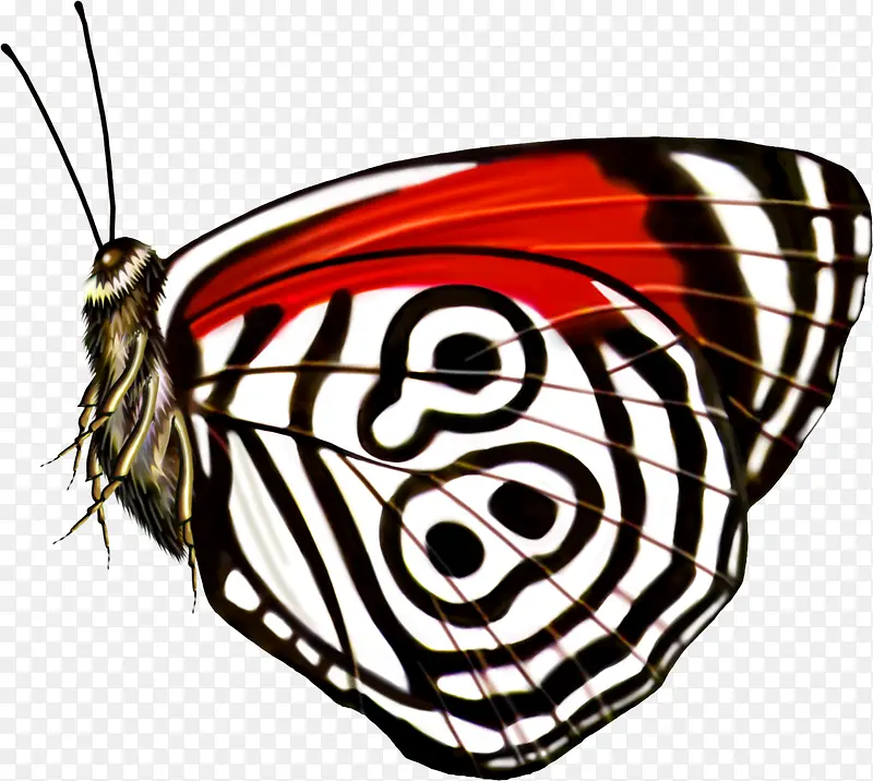 创意手绘扁平飞舞的蝴蝶