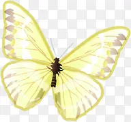 春天手绘黄色蝴蝶光效
