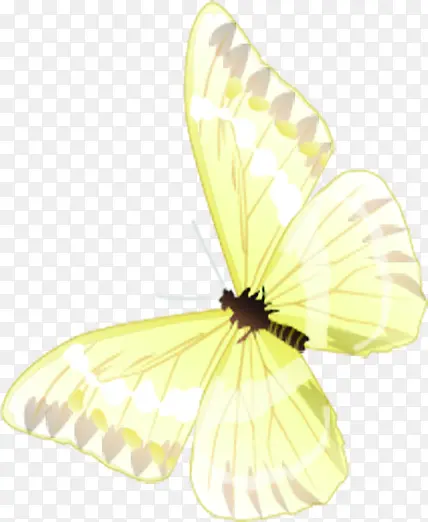 创意合成手绘飞舞的黄色蝴蝶造型