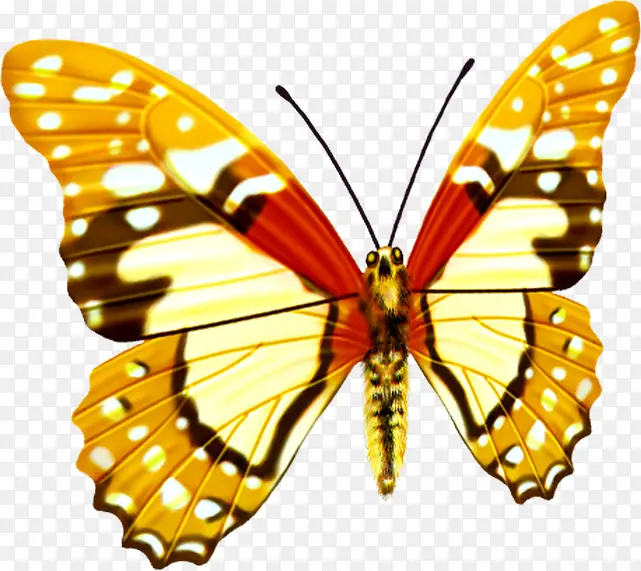 扁平手绘合成翩翩起舞的黄色蝴蝶