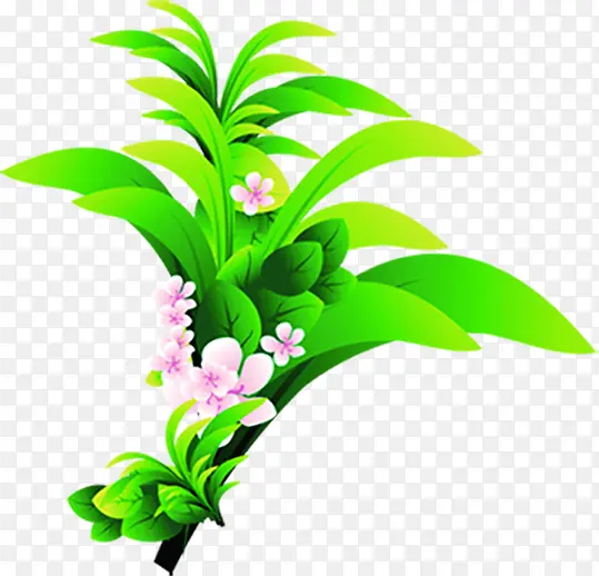 绿色植物花朵春天美景