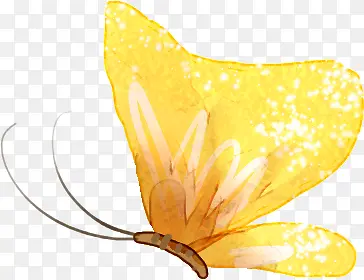 手绘黄色夏季蝴蝶