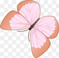 手绘粉色卡通蝴蝶