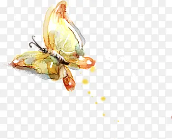 手绘黄色水彩蝴蝶图标