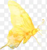 手绘黄色水彩蝴蝶装饰