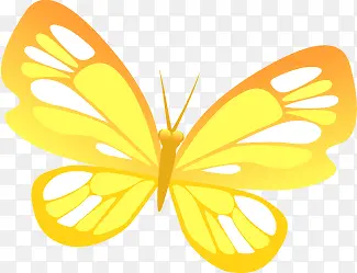 黄色精美手绘蝴蝶