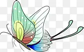 蝴蝶主题手绘名片