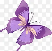 手绘水彩漫画紫色蝴蝶