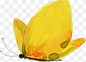 手绘黄色水墨蝴蝶装饰