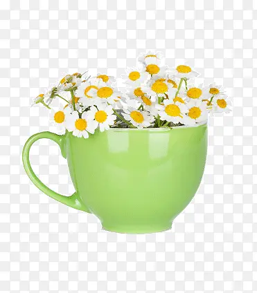 长在茶杯里面的花