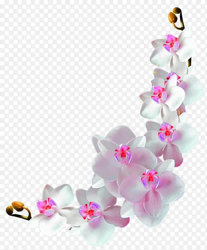 花藤装饰图案logo社