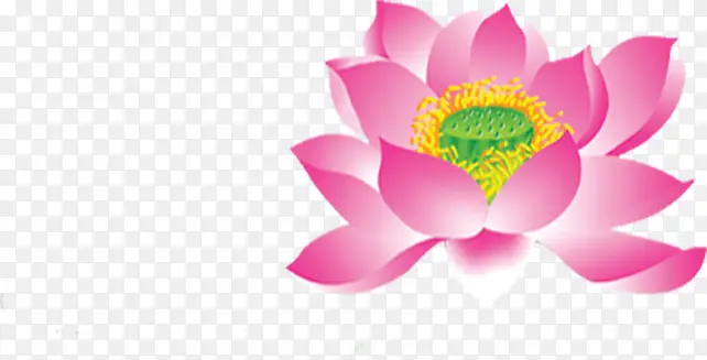 手绘粉色莲花装饰