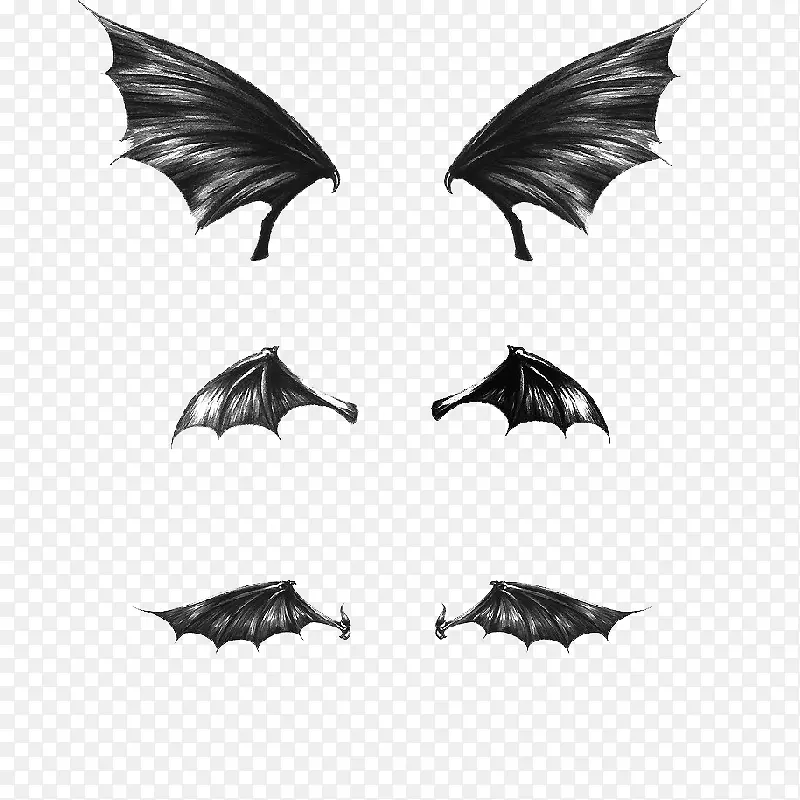 多种不同蝙蝠翅膀素材