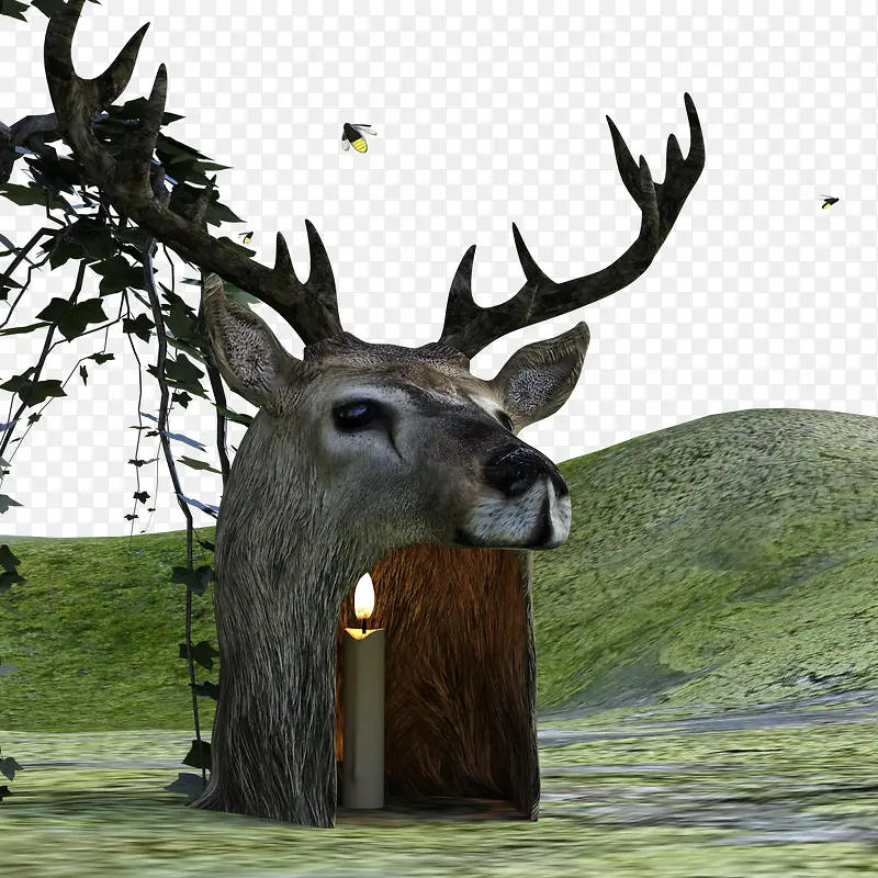 3D鹿