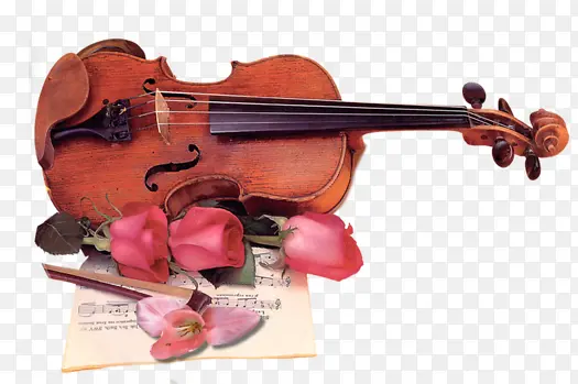 玫瑰花配小提琴