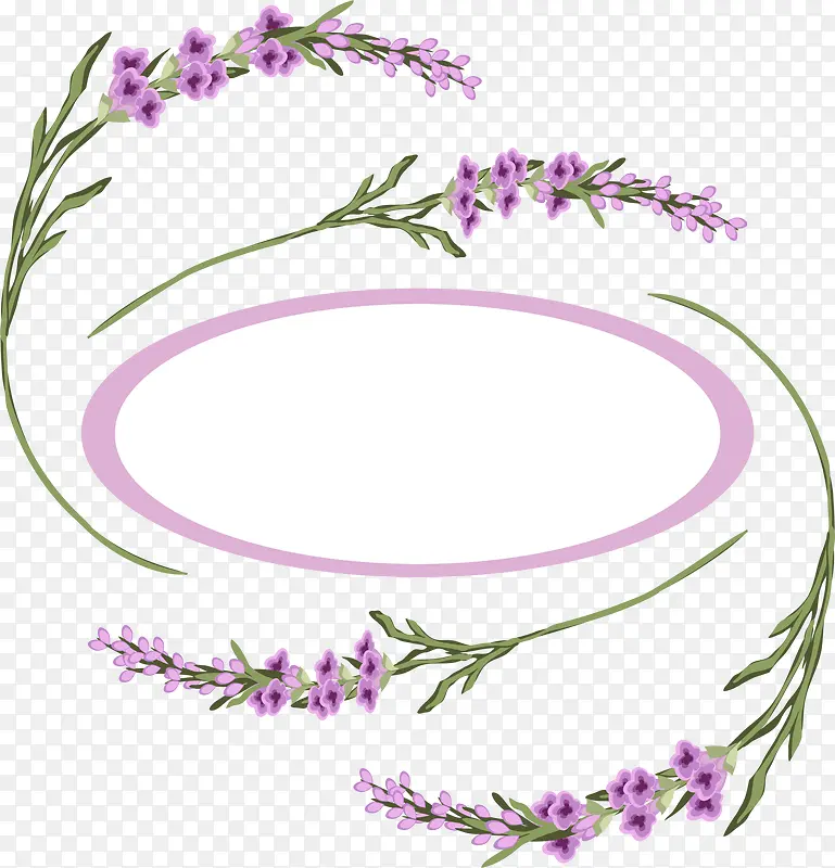 紫色薰衣草圆圈