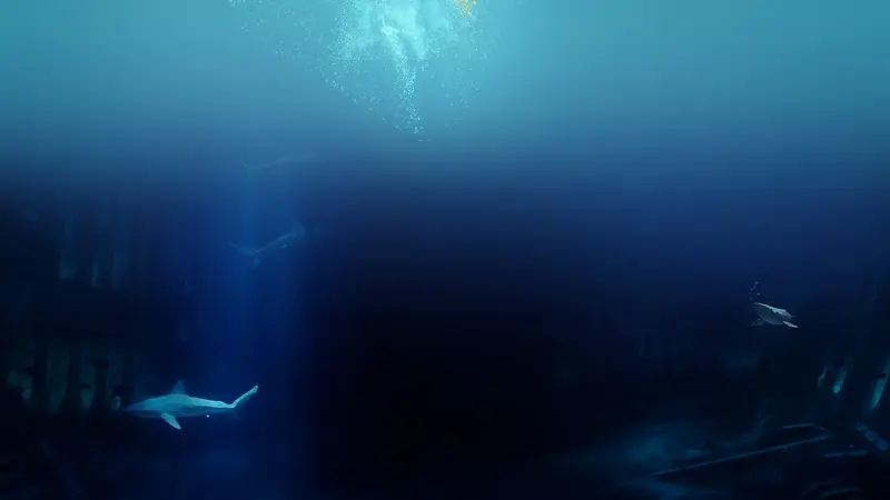 深海下的海底世界