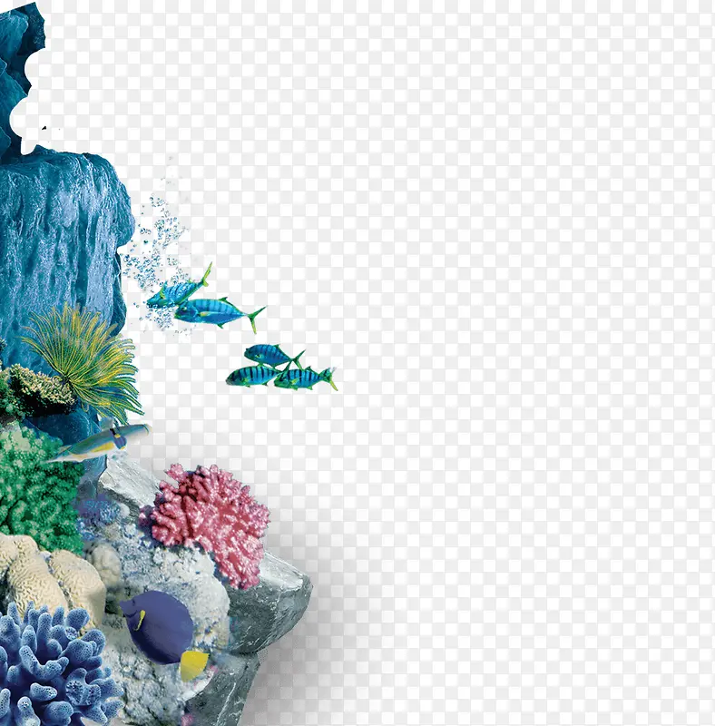 海底世界美丽珊瑚