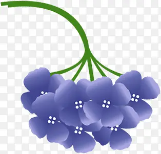 卡通紫色植物花朵