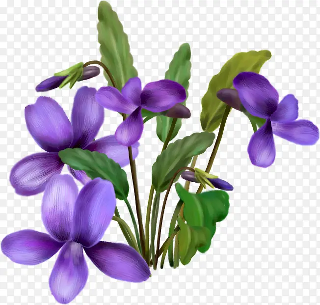 手绘卡通紫色小花插图