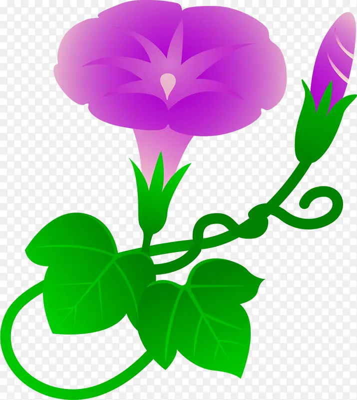 紫色卡通喇叭花花藤
