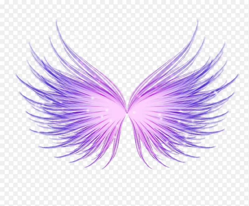 紫色翅膀