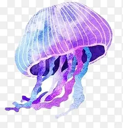 紫色卡通水母