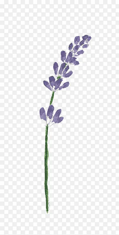 紫色手绘水彩花
