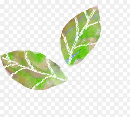手绘绿色树叶创意