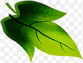 手绘绿色春日树叶植物