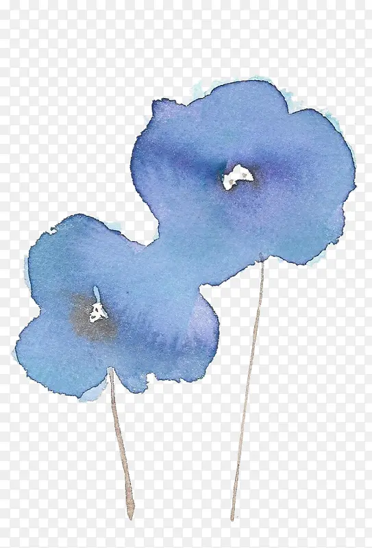 手绘两朵蓝色的花