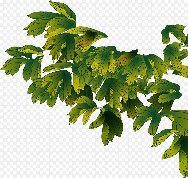 手绘素材合成绿色的树叶