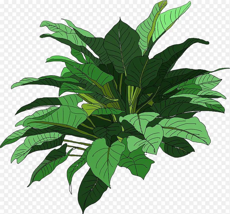 手绘卡通绿色的植物树叶