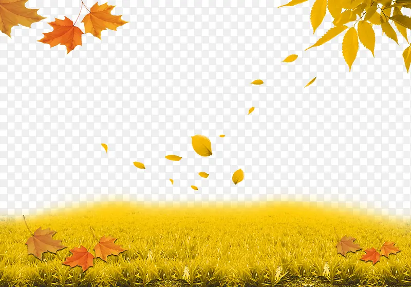 手绘秋季黄色树叶落叶