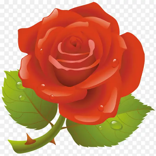 盛开的玫瑰花图标