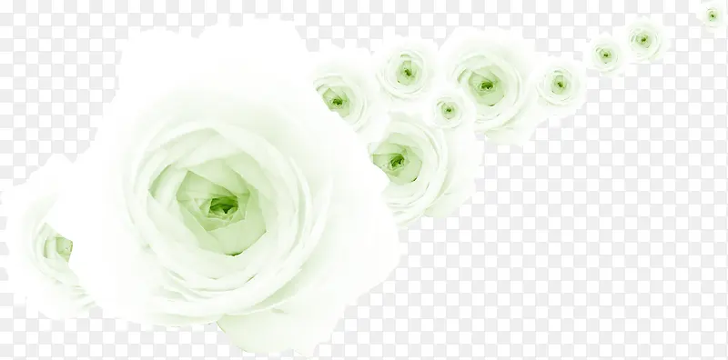 春季绿白色清新玫瑰