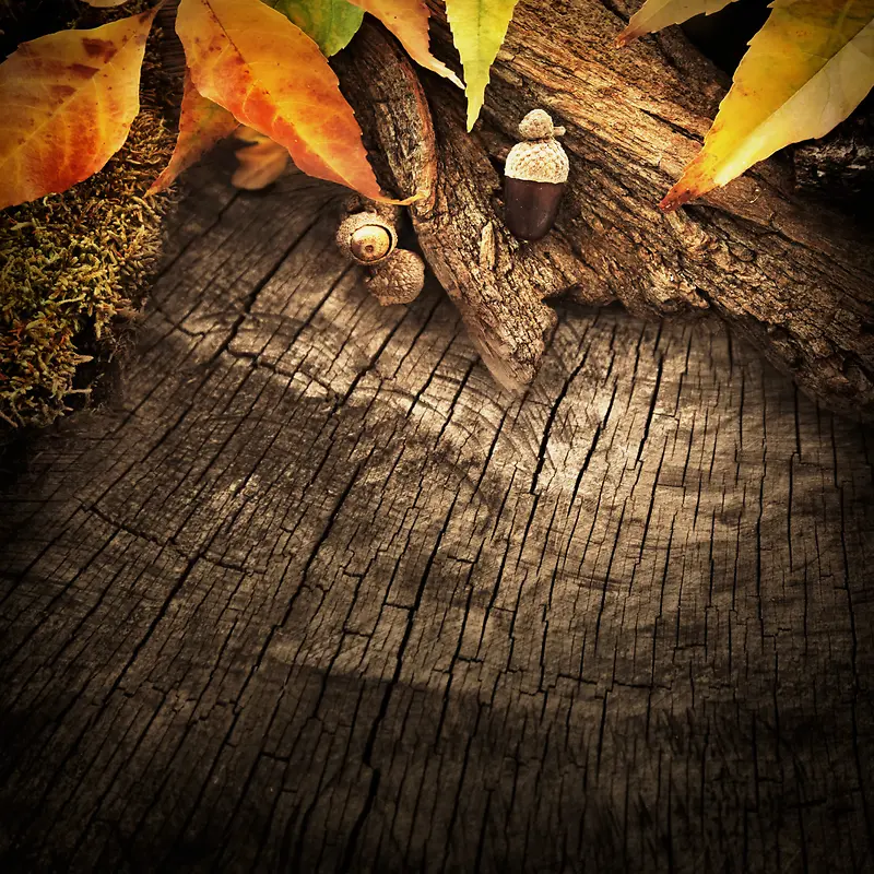 木纹背景与枫叶