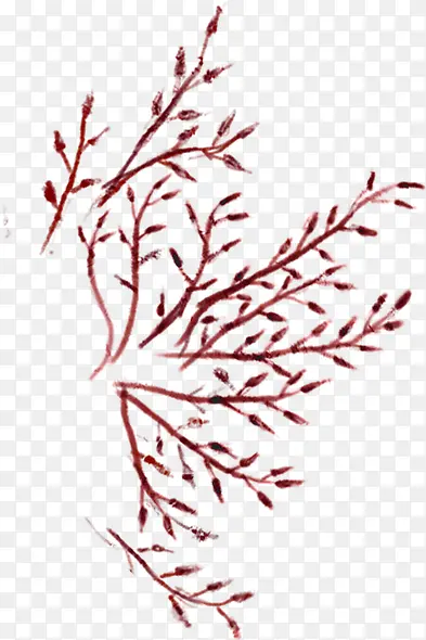 手绘红色水彩树叶