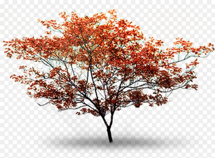 红色树叶别墅景观