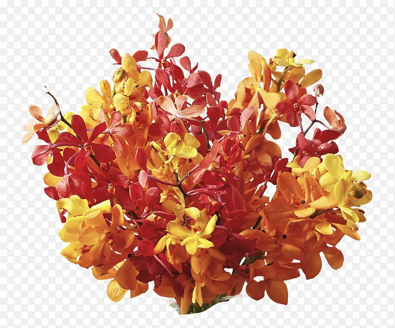 黄红色秋季树叶装饰